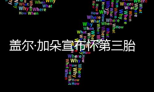 布怀馨女儿朵宣第三超温胎 孕肚盖尔抚摸·加老公